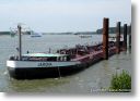 JARONA am 15.07.2007 in Wesel