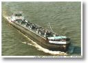 VERENA L. GERHARDT am 07.06.2003 in Duisburg 