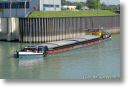 ANALYSE am 17.08.2005 im Unterwasser der Schleuse Friedrichsfeld 