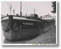 MISBURG 1958 