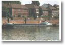 HELENA TINEKE am 11.06.1998 in Duisburg-Ruhrort 
