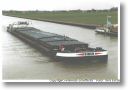 BIBER am 10.02.2000 in Hille 