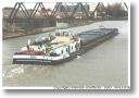 BIBER am 10.02.2000 in Hille 