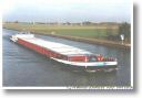 HUBERTUS am 25.10.1996  in Hille 