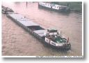 PLOCHINGEN am 23.09.1995 in Duisburg 
