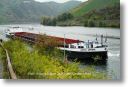 AQUA LINDA am 24.09.2009 in Karden/Mosel