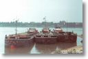 MS 75