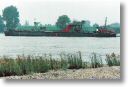 MS 75